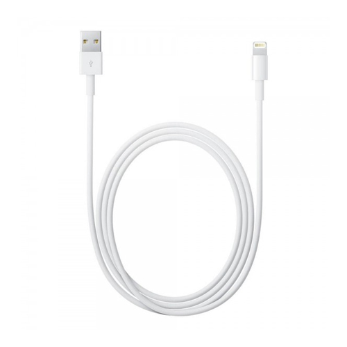 Apple Lightning to USB Cable 1m