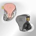KZ x HBB DQ6S Earphones